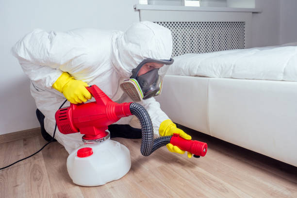 Best Pest Exclusion Services  in Mexico Beach, FL